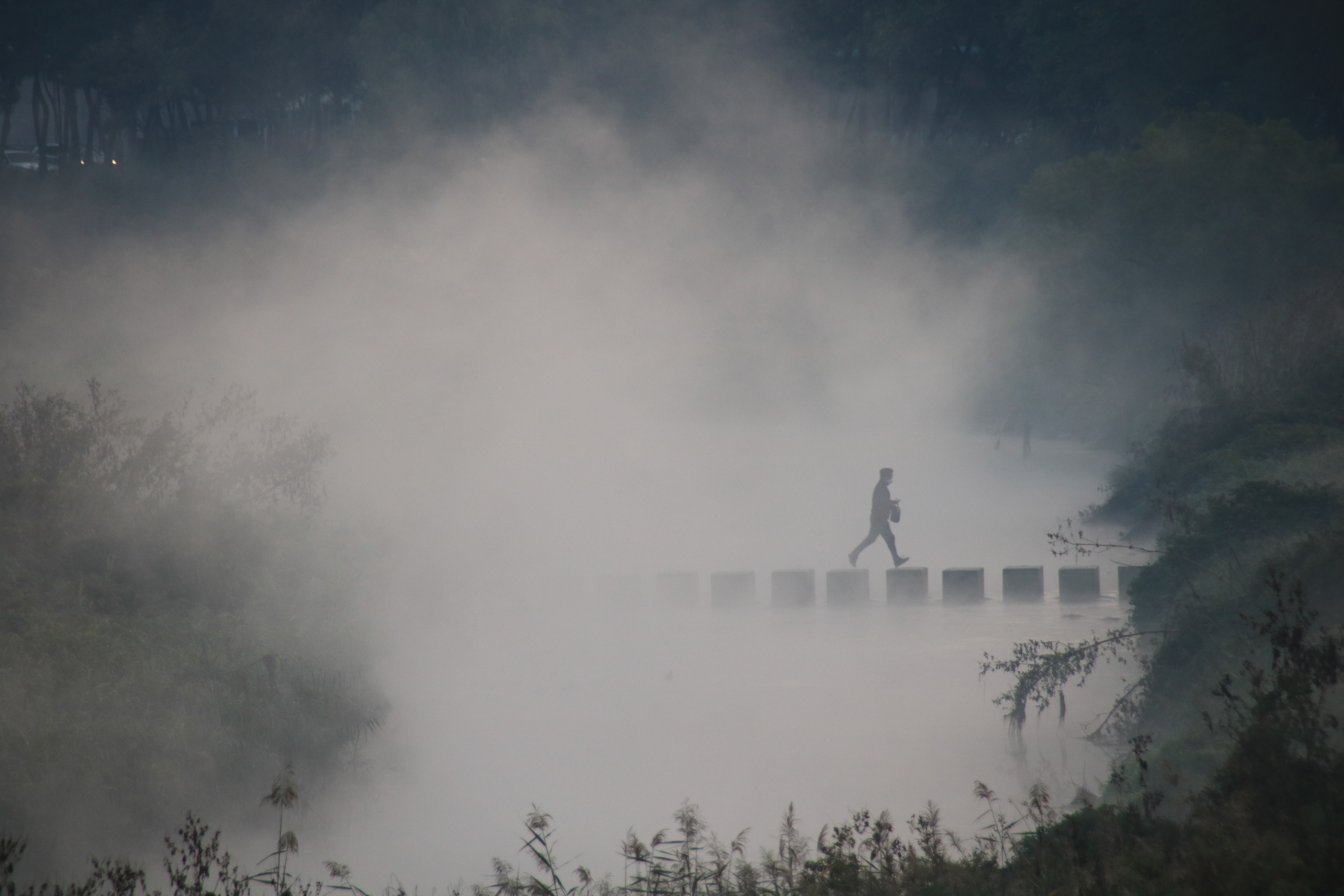 생명의 하천으로 거듭난 승기천이 연수구를 넘어 인천 시민들의 나들이 명소이자 문화공간으로 자리매김하고 있다
